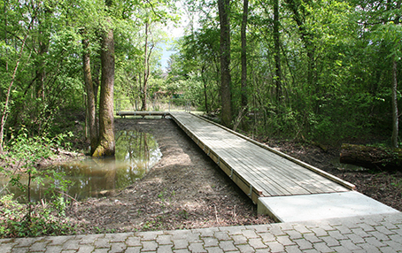 Passerelle publique de la Réseve Naturelle de Pinchat