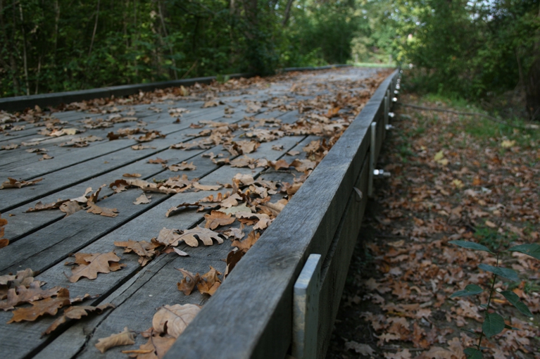 Gros plan sur la passerelle de la réserve naturelle de Pinchat