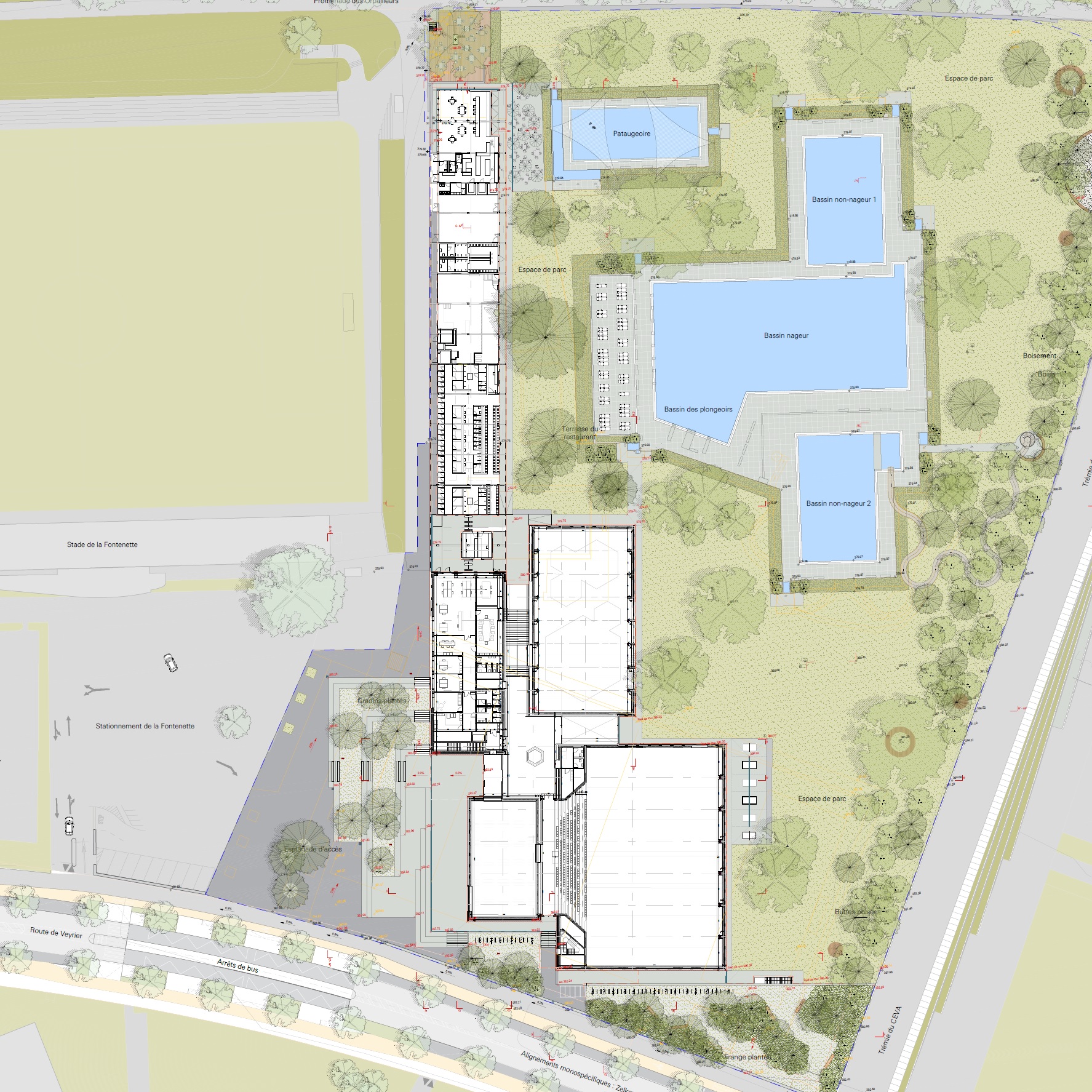 Plan de la piscine de Carouge